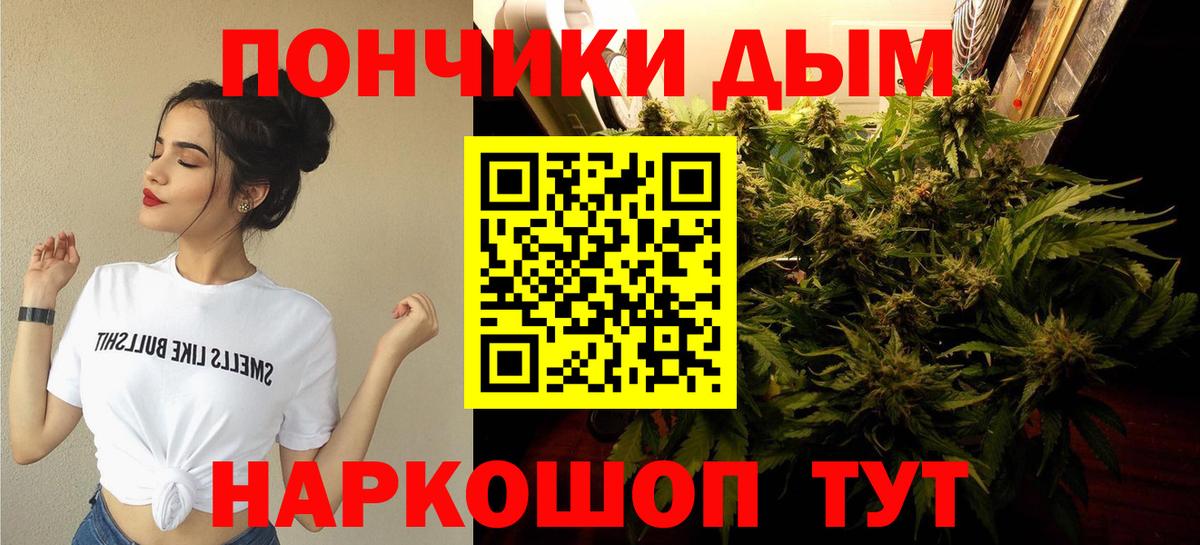Каннабис ГИДРОПОН  Конопля тримм  Каннабис семена  Бердск  Вход с VPN 